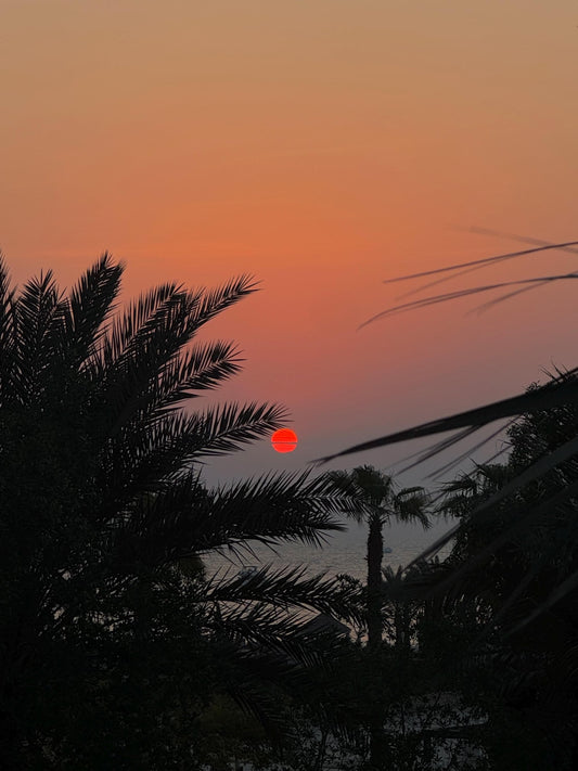 Tropical Sunset Print | Palm Tree Photography, Coastal Wall Art (Digital Download)